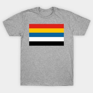 Flag of the Republic of China (1912–1928) Historical T-Shirt